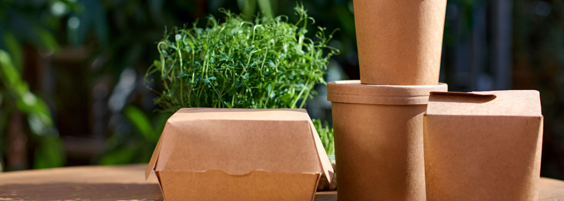 eco friendly  food  packaging dubai